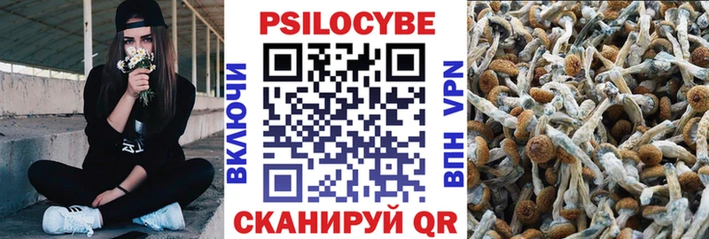 Галлюциногенные грибы Cubensis  Батайск 